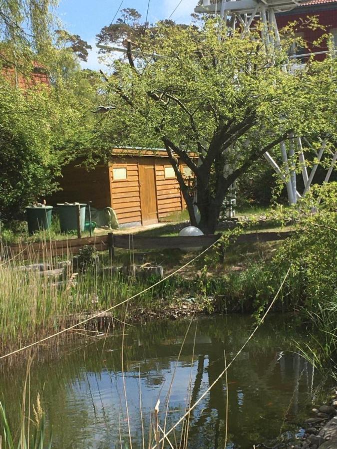 Ostseebad Kühlungsborn Fewo Schwalbennest Am Meer-Exklusiv-Eigener Strandzugang מראה חיצוני תמונה