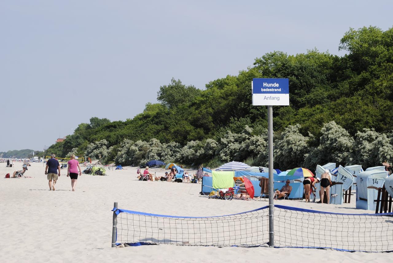 Ostseebad Kühlungsborn Fewo Schwalbennest Am Meer-Exklusiv-Eigener Strandzugang מראה חיצוני תמונה